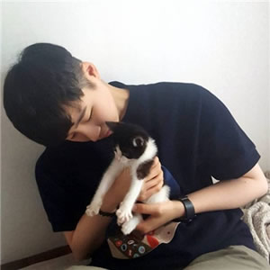 High-definition photos of handsome boys with cute animal avatars