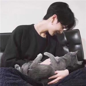 High-definition photos of handsome boys with cute animal avatars