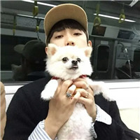 High-definition photos of handsome boys with cute animal avatars