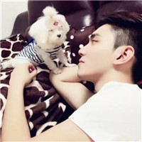 High-definition photos of handsome boys with cute animal avatars