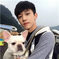 High-definition photos of handsome boys with cute animal avatars