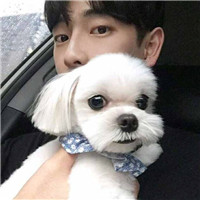 High-definition photos of handsome boys with cute animal avatars