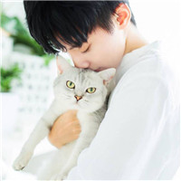 High-definition photos of handsome boys with cute animal avatars