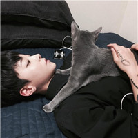 High-definition photos of handsome boys with cute animal avatars