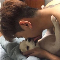 High-definition photos of handsome boys with cute animal avatars