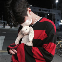 High-definition photos of handsome boys with cute animal avatars