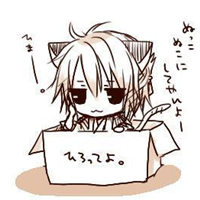 Boy avatar, cute cat ears, cute anime pictures