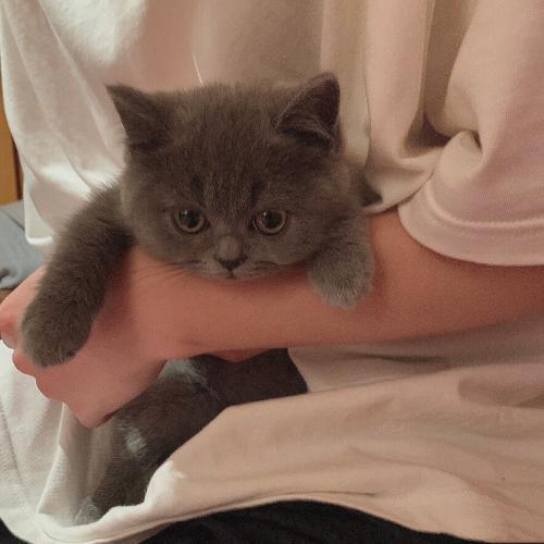 Avatar picture of boy holding pet