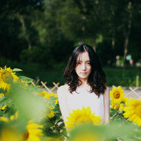 WeChat avatar, forest style aesthetic picture, girl