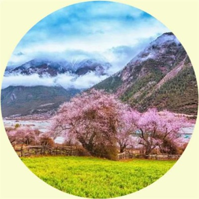 WeChat avatar pictures that make you feel comfortable at a glance. A collection of beautiful high-definition avatars with super healing scenery.