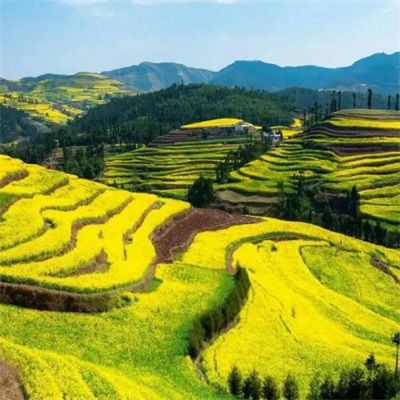 WeChat avatar pictures, the latest landscape pictures, a collection of beautiful scenery high-definition pictures