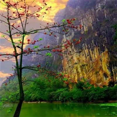 The best scenery WeChat avatar pictures in 2022. The avatar scenery pictures that are suitable for a lifetime.