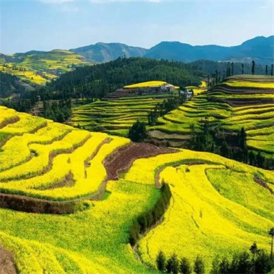2022 WeChat avatar scenery beautiful high-definition pictures Super beautiful natural scenery latest picture collection