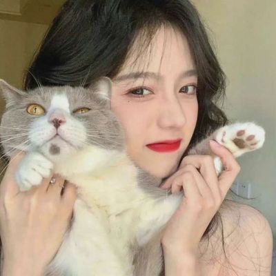 Beautiful WeChat girl avatars with small animals HD pet ins sweet style female avatars