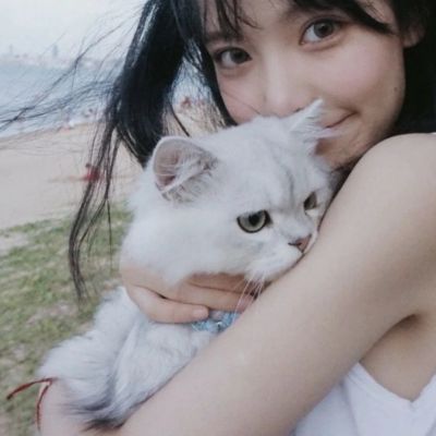 Beautiful WeChat girl avatars with small animals HD pet ins sweet style female avatars