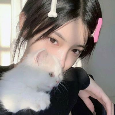 Beautiful WeChat girl avatars with small animals HD pet ins sweet style female avatars