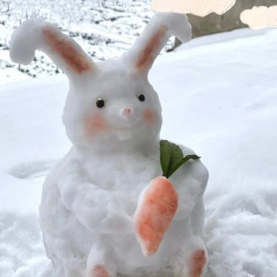 A collection of cute and silly snowman avatars for both men and women. A collection of cool summer snowman avatar pictures.
