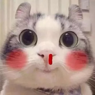 Unique cute and super interesting cute cat avatar. Very cute and interesting cute kitten avatar.