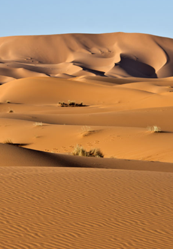 A collection of beautiful desert scenery pictures