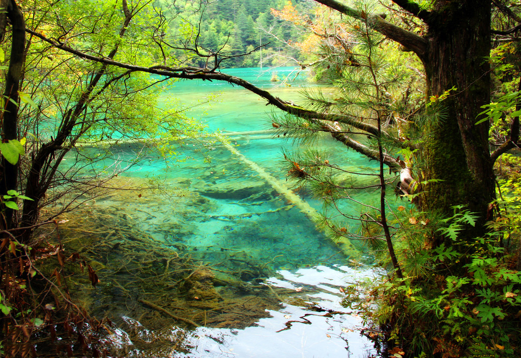 峨眉山山水风景图片素材