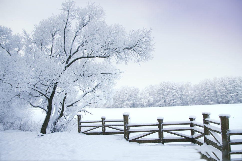 Snowflakes all over the ground natural scenery picture material