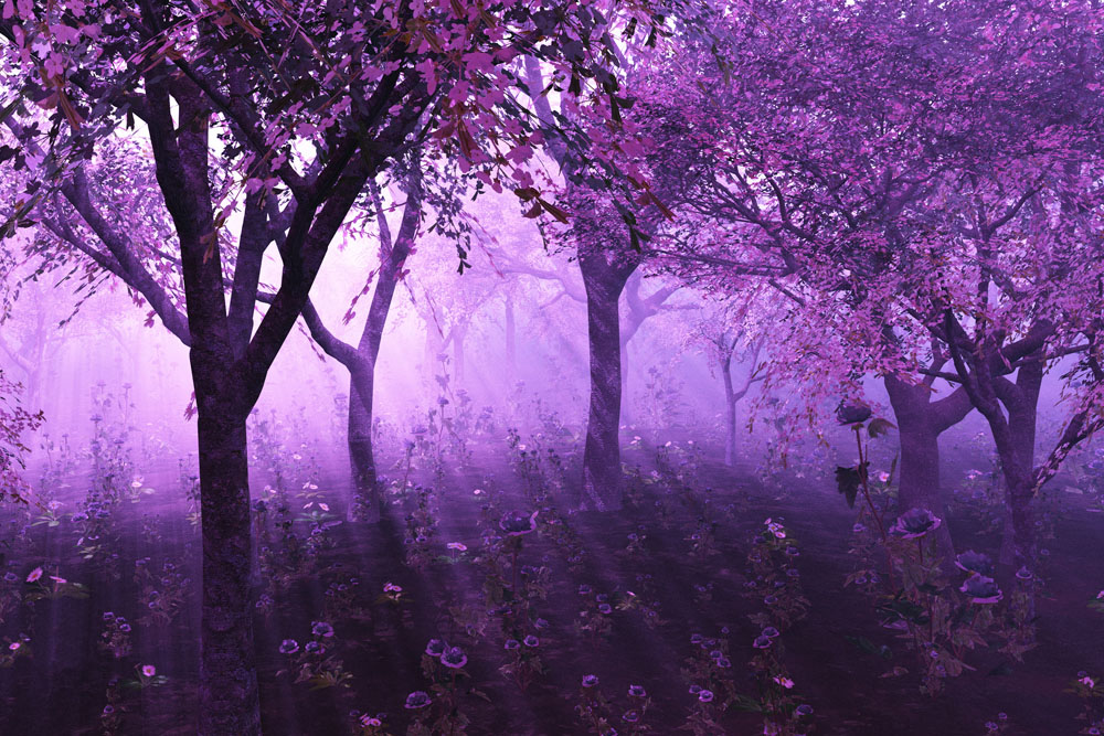 Recommended collection of purple fantasy landscape pictures