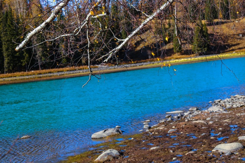 Scenery pictures of Kanas, Xinjiang in golden autumn in September