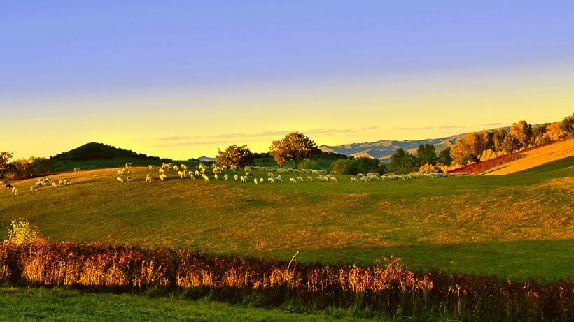 Autumn grassland scenery picture collection on Bashang