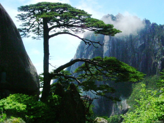 A complete collection of pictures of the scenery of welcoming pine clouds and sea