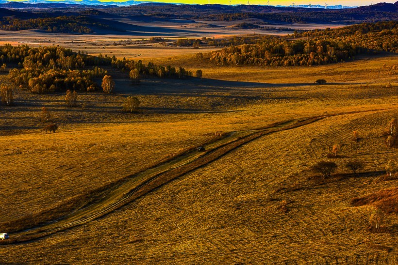 A complete collection of pictures of Bashang grassland scenery in golden autumn