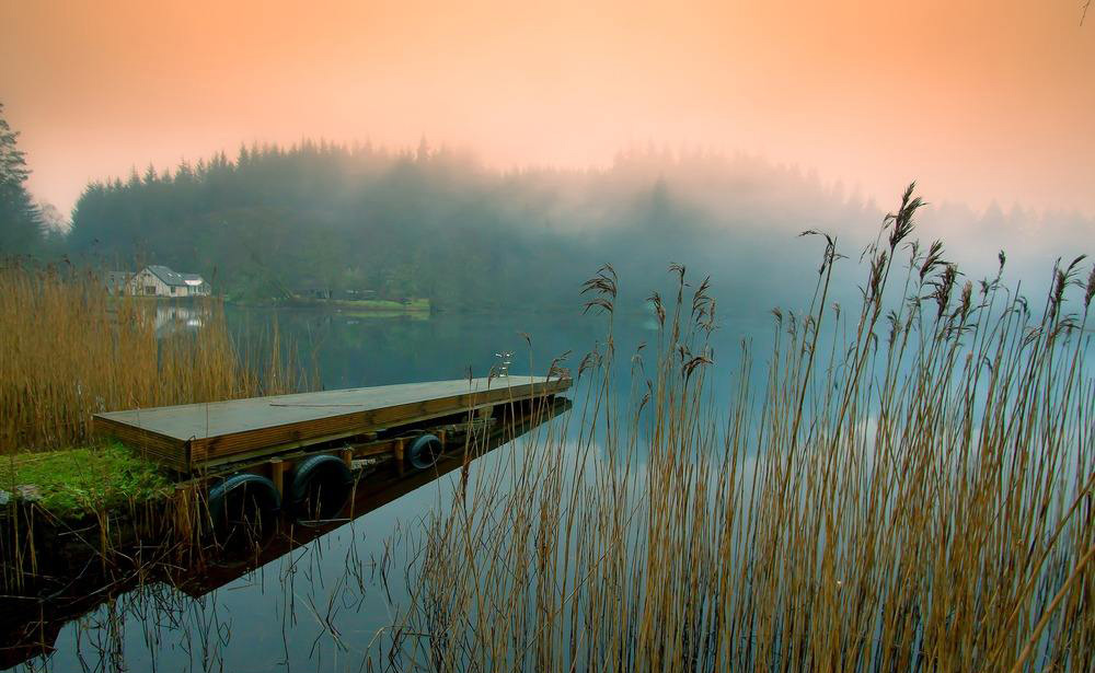 A complete collection of scenic pictures of small bridges on the lake