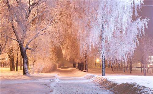 雪景图片 关于下雪的图片大全(6)