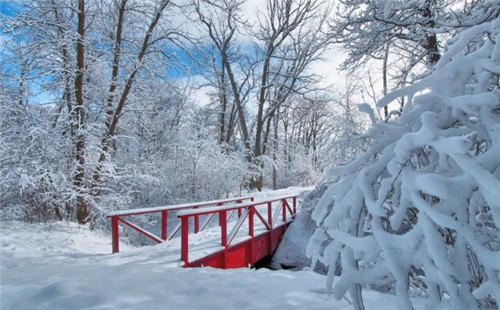 雪景图片 关于下雪的图片大全(9)