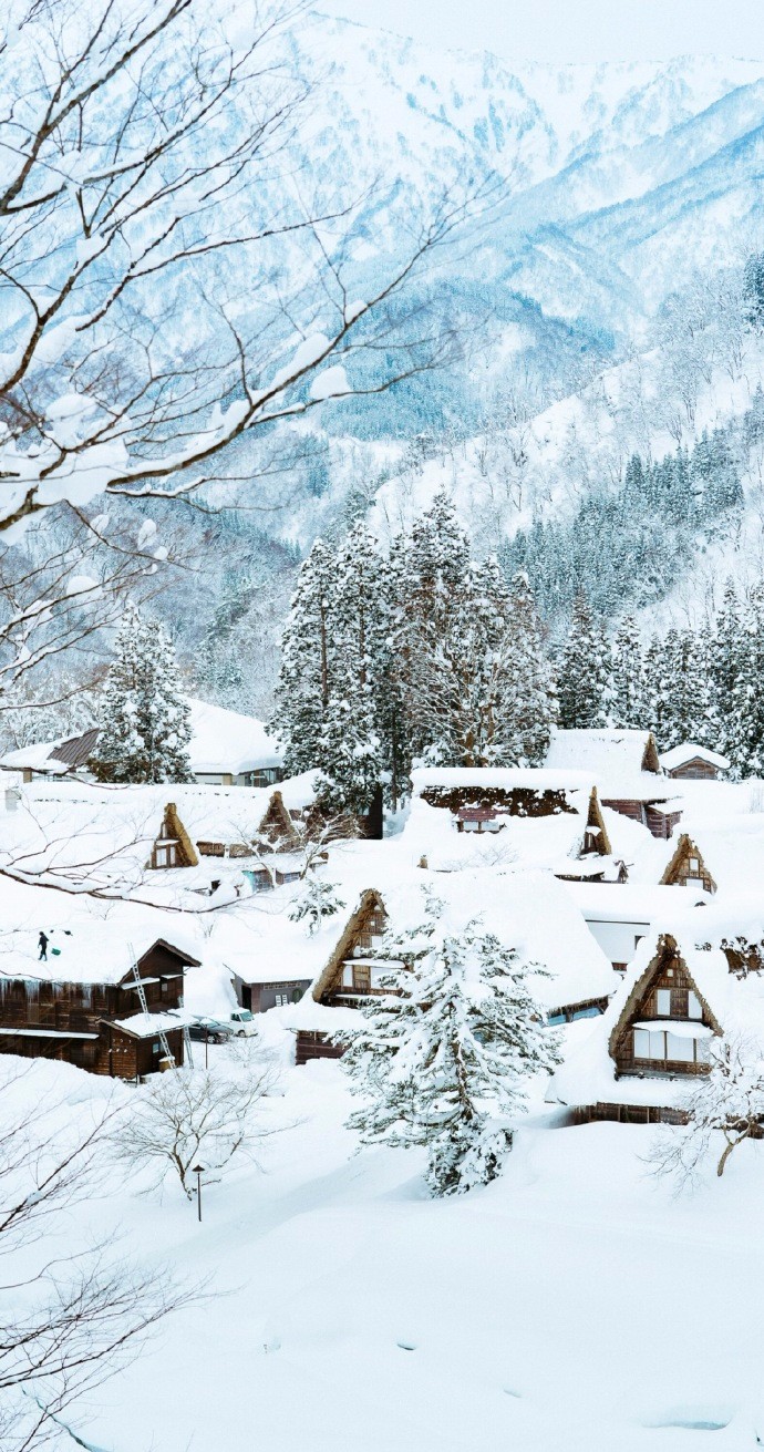 A collection of beautiful pictures of winter snow scenes