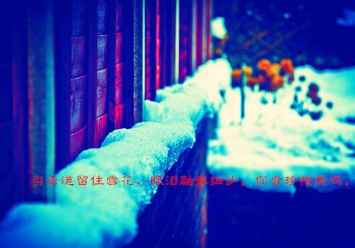 Fresh, dreamy and beautiful snow scene pictures_When the equator retains snowflakes