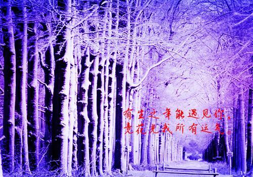 Fresh, dreamy and beautiful snow scene pictures_When the equator retains snowflakes
