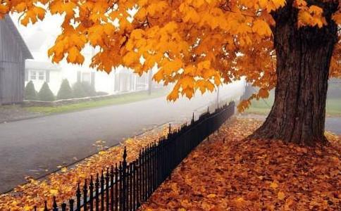 Beautiful pictures of autumn If life were just like the first time we met
