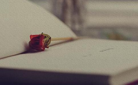 A collection of beautiful pictures of flowers and books, let this lingering poem