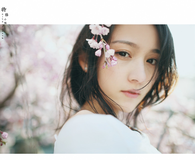 Beautiful photos of pure beauties under romantic cherry blossoms