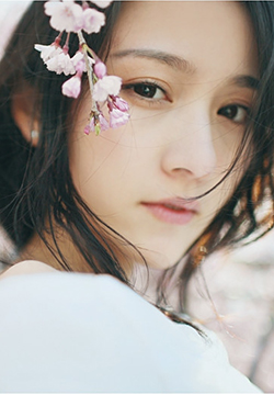 Beautiful photos of pure beauties under romantic cherry blossoms