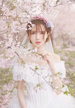 A collection of beautiful and lovely fresh girls in wedding dresses