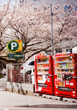 Japanese street scene exotic mobile phone aesthetic wallpaper