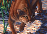 Wild golden cat domineering color painting picture