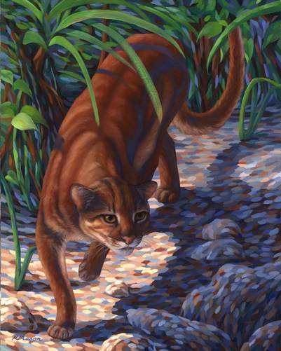 Wild golden cat domineering color painting picture