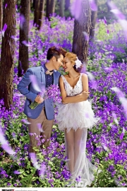 Lavender Love Wedding Photos