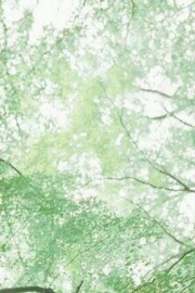 Matcha flavored green forest-style fresh and beautiful pictures, beautiful artistic conception pictures