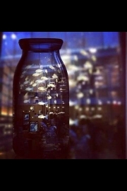 I quietly put the world into a bottle. Pictures of beautiful artistic conception of the bottle