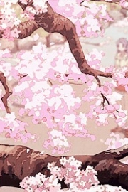 Spring is here. Lets go see the cherry blossoms together. A collection of beautiful cherry blossom pictures.