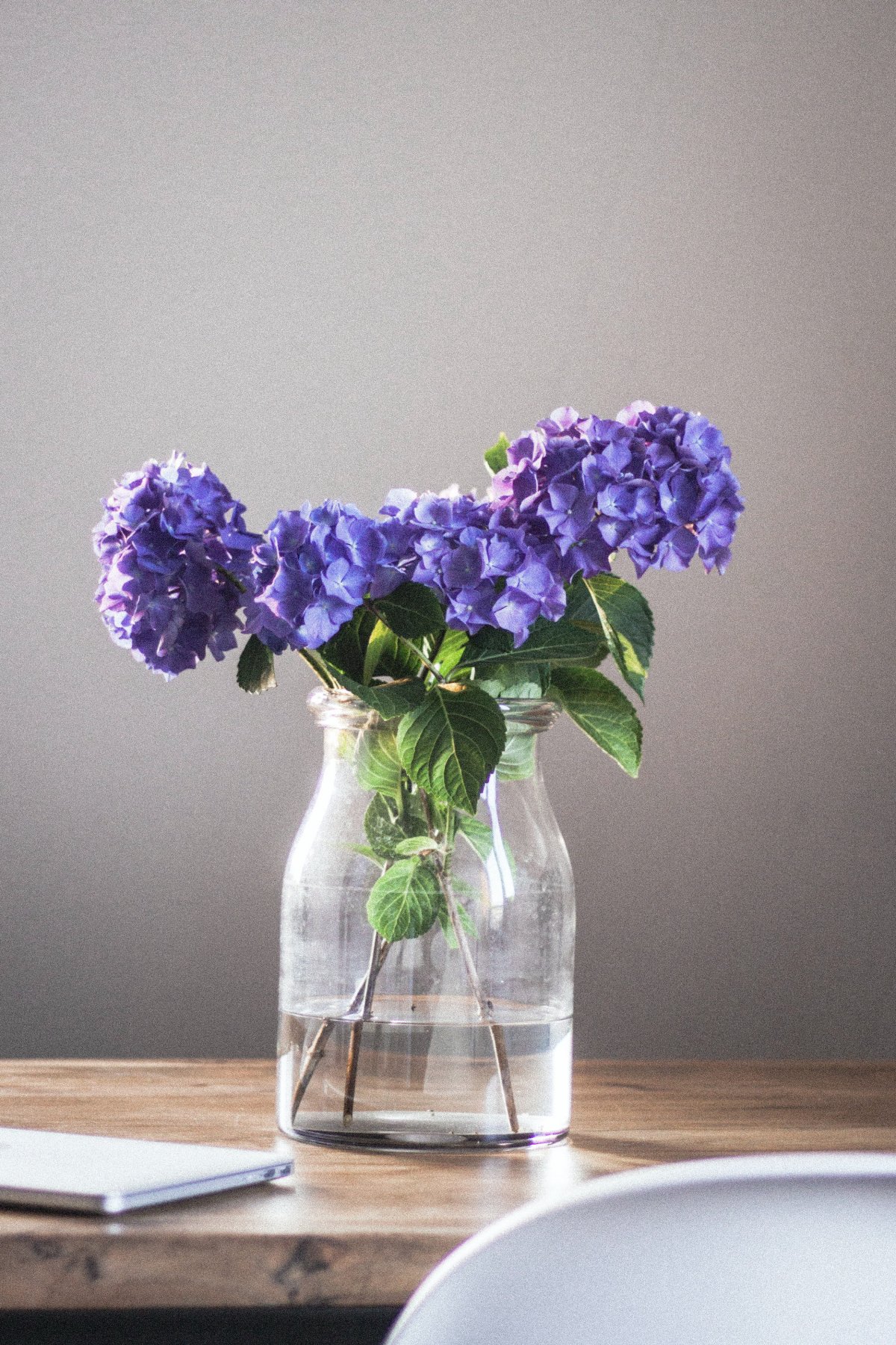 Purple flowers hydroponic flower arrangement pictures