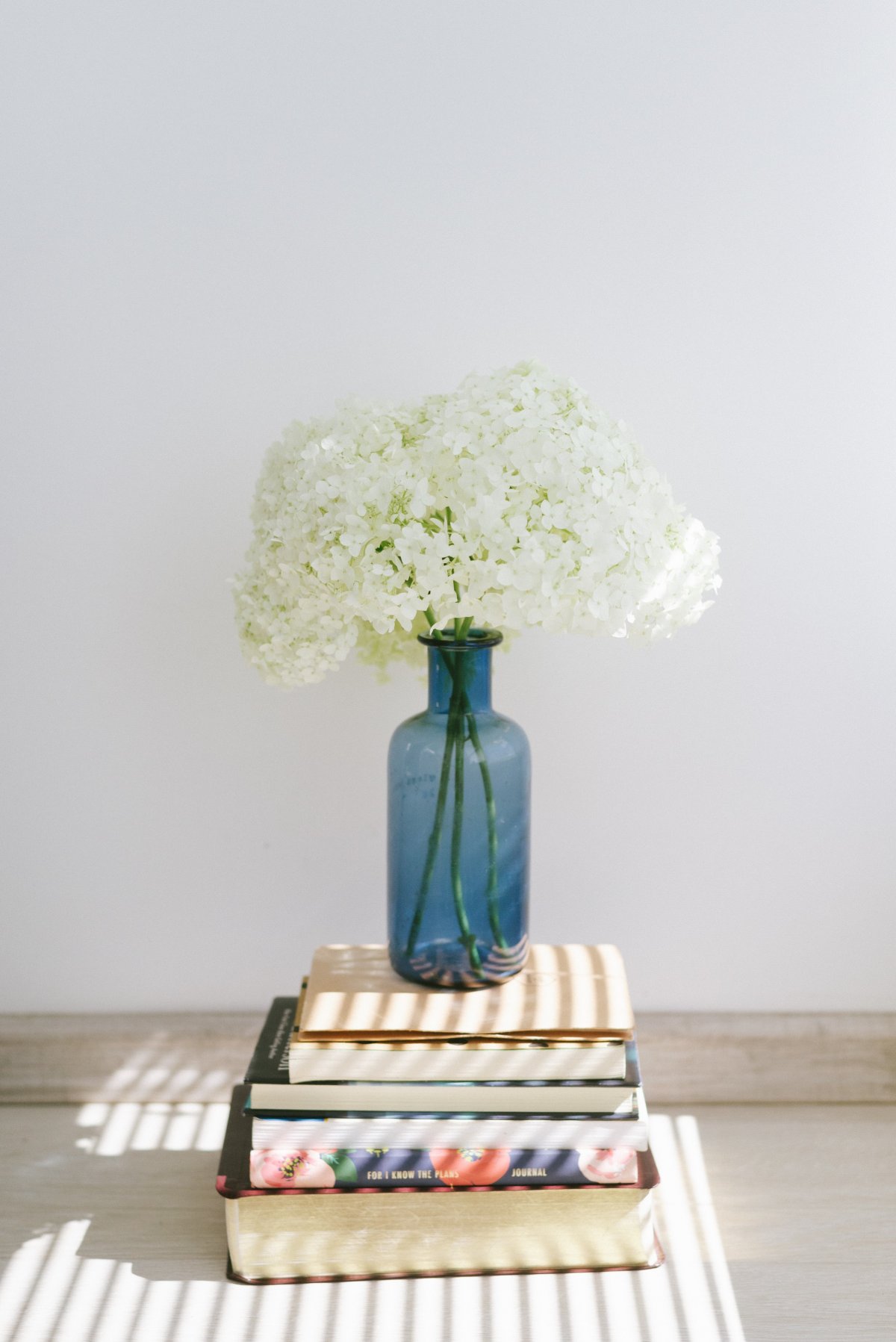 Books and white flower arrangement pictures